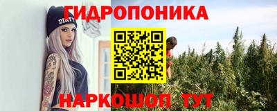 сатива Краснознаменск