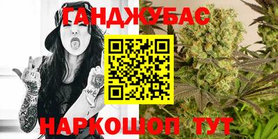 сатива Краснознаменск