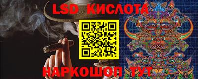 сатива Краснознаменск